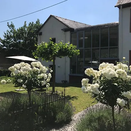 Ferienwohnung Altes Pfarrhaus Mit Flair Und Moselblick Brauneberg Extérieur photo