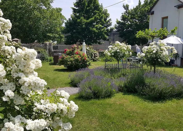 Ferienwohnung Altes Pfarrhaus Mit Flair Und Moselblick