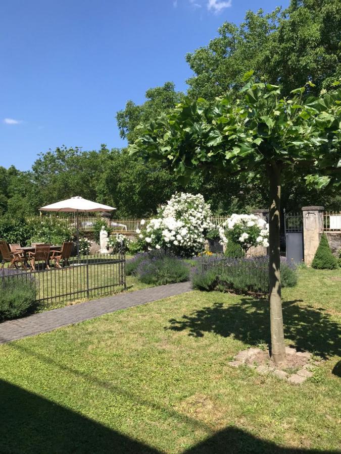 Altes Pfarrhaus Mit Flair Und Moselblick Appartement